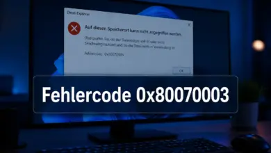Fehlercode 0x80070003: Das System kann den angegebenen Pfad nicht finden, Ursachen und Lösungen