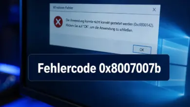 Fehlercode 0x8007007b: Dateiname, Verzeichnisname oder Datenträgerbezeichnung ist falsch